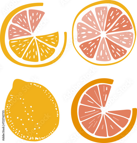 Lemon illustration. inspirational card with doodles lemons, orange isolated on background. Colorful illustration for greeting cards or prints.