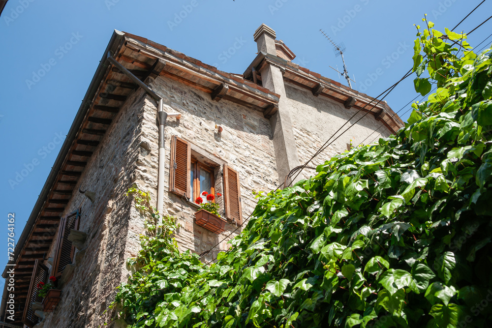 Green ivy growing over wall on street with red flowers in window above. in typical European style