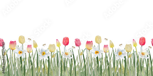 Seamless border with tulips and daffodils, floral frame. Spring flowers. Watercolor illustration. Easter card, March 8 card, wedding invitation, blog decoration #722769187