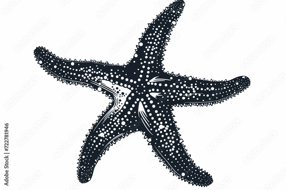Starfish Black Illustration Starfish Black Illustration