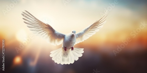 Flying white dove on sunset sky background. Concept of peace and love.