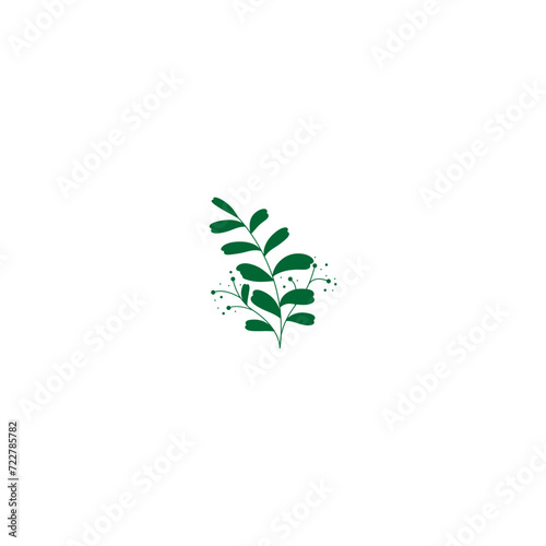 plant with green leaves vector leaf