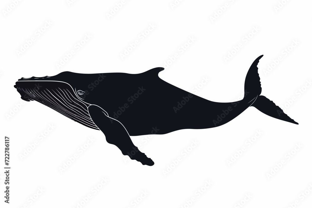 Obraz premium Silhouette Of Whale