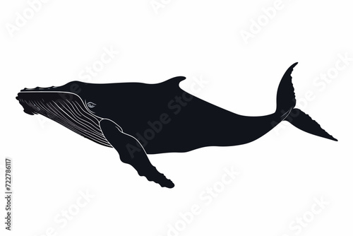 Silhouette Of Whale