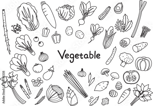 シンプルな野菜の線画イラストセット