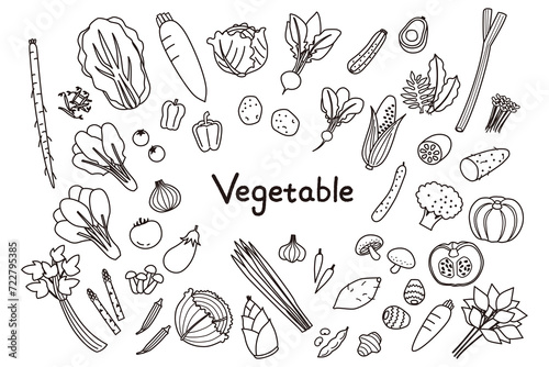 シンプルな野菜の線画イラストセット photo