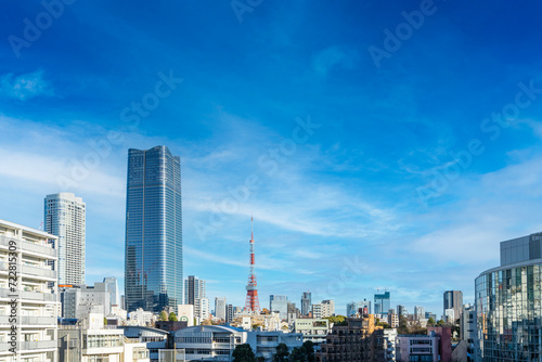 Panoramic view of Tokyo  Japan