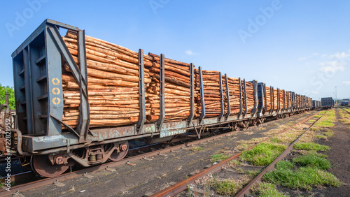 Train Trailers Tree Logs Cargo Import Export Agriculture Business.