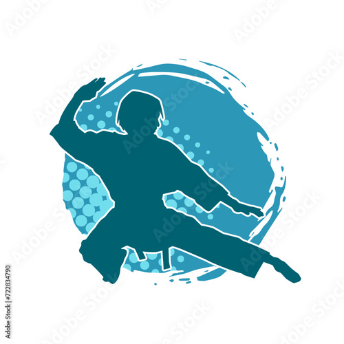 Silhouette of a slim female doing martial art pose. Silhouette of a martial art woman in action pose.