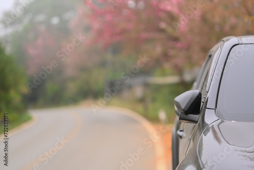A car is parking on on the roadside with blooming Wild Himalayan cherry blossoms