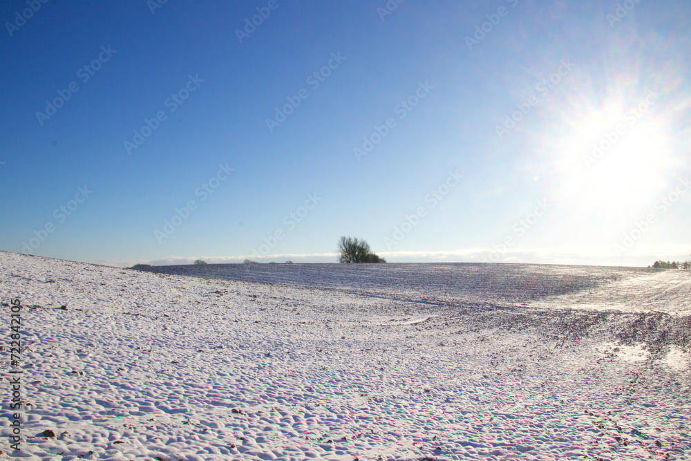 Partly snowy field on a cold winter day Partly snowy field on a cold winter day