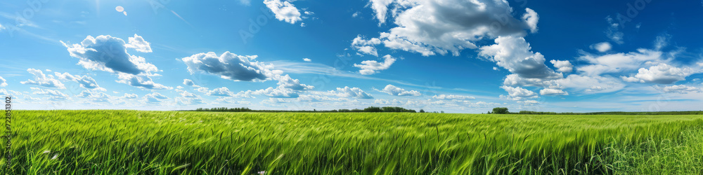 Green meadows with blue sky and clouds background.