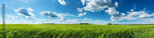 Green meadows with blue sky and clouds background.