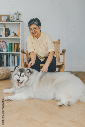 Senior Asian woman elder playing with dog in Livingroom at home. People hugs or Playing pet dog with happy and smiling at home. Lovely pet