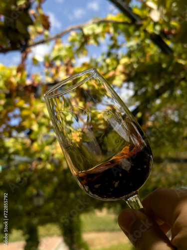 testowanie smaku wina - czerwone Porto w wysokim kieliszku