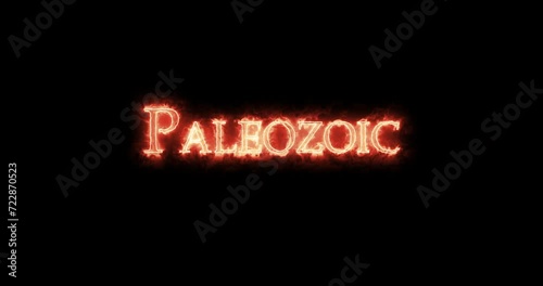 Paleozoic written with fire. Loop photo
