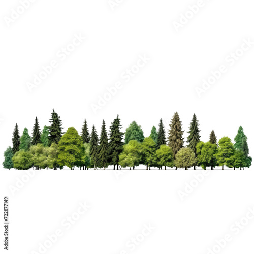 Pine tree View of a High definition, Treeline isolated on white background, Forest and foliage in summer, Row of trees and shrubs