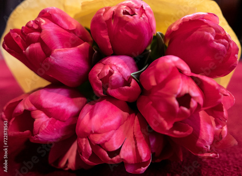 beautiful bouquet of vivid tulips