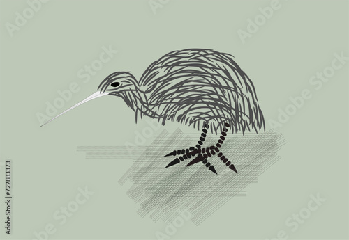Kiwi Bird Sketch
