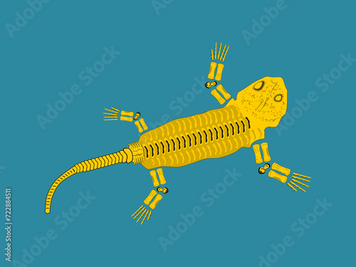 Skeleton of Prehistoric Animal