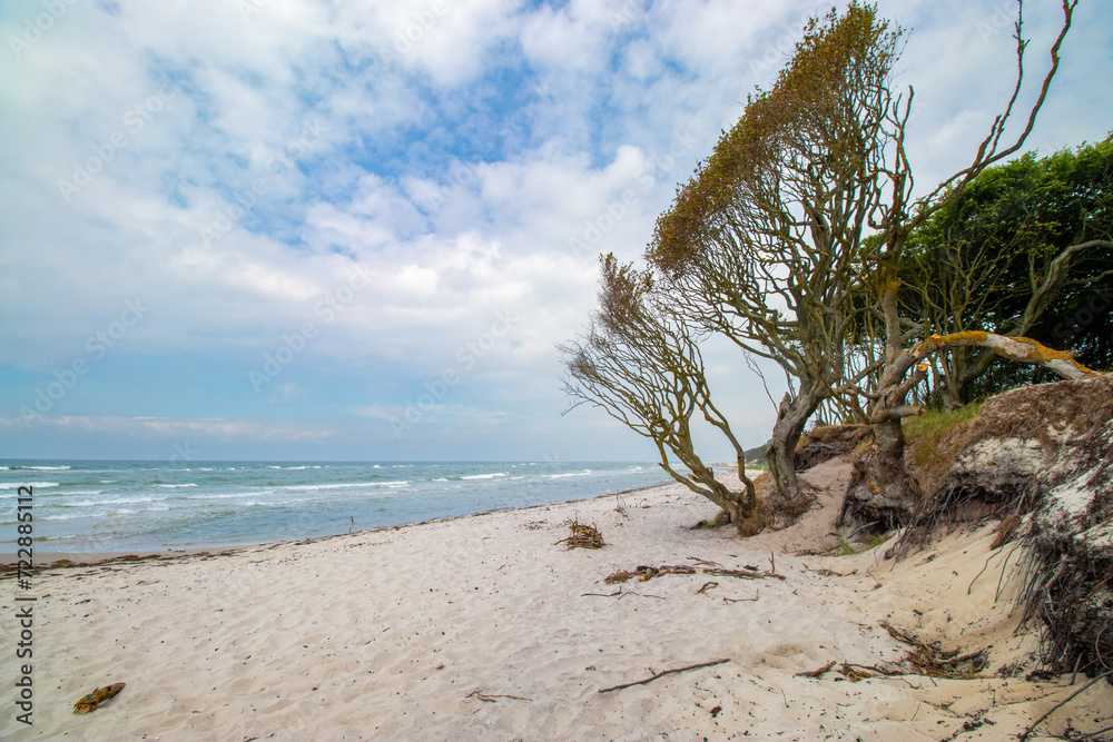 Darsser Weststrand, laut ARTE einer der schönsten Strände der Welt. Darsser Weststrand, laut ARTE einer der schönsten Strände der Welt.