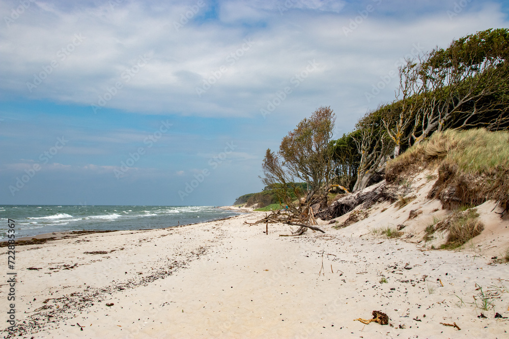 Darsser Weststrand, laut ARTE einer der schönsten Strände der Welt. Darsser Weststrand, laut ARTE einer der schönsten Strände der Welt.