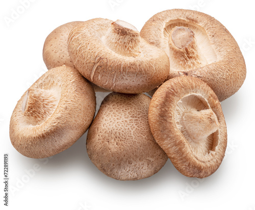 Shiitake - edible asian mushrooms isolated on white background. File contains clipping path.