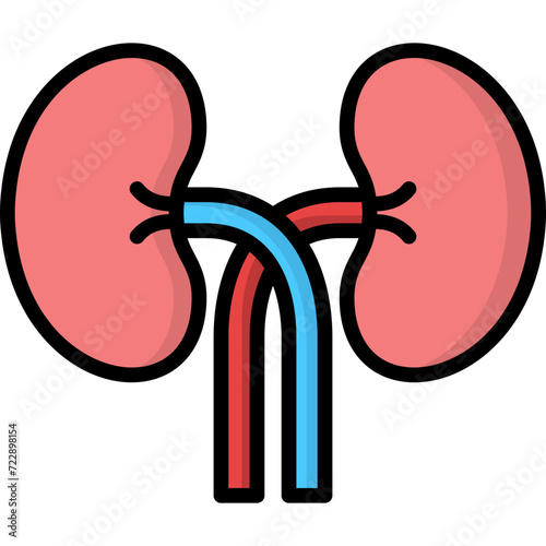 Kidneys Icon