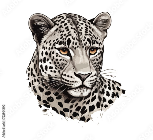 Leopard hand drawn illustration vector graphic