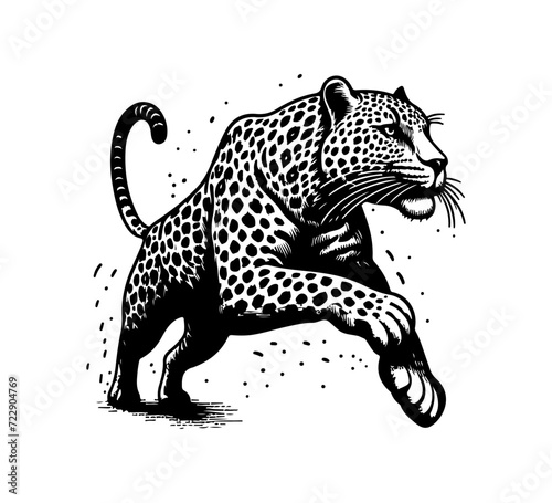 Leopard hand drawn illustration vector graphic