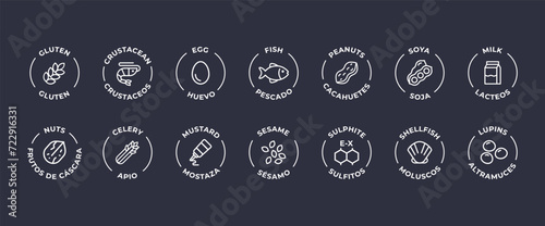 Isolated Vector Logo Set Badge Ingredient Warning Label. Allergens icons. Food Intolerance. The 14 allergens required to declare written in Spanish and English