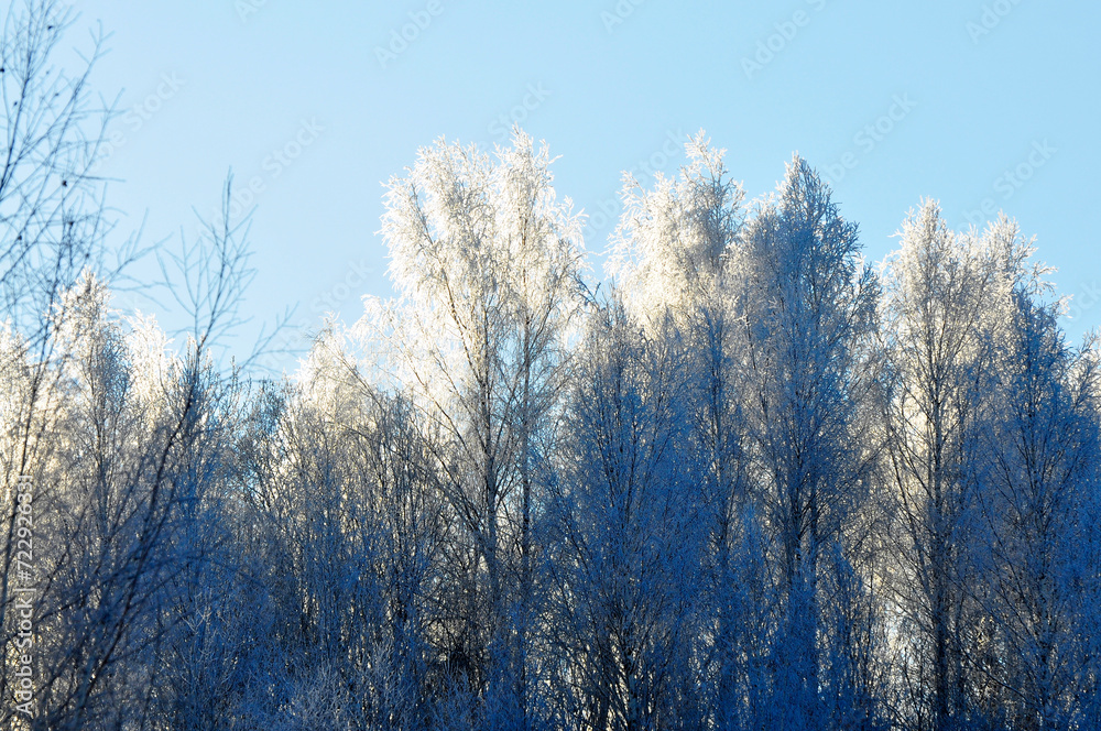 Nature is the material world of the universe, in fact, the main object of the study of natural sciences. In everyday life, the word Nature is the material world of the universe, in fact, the main object of the study of natural sciences. In everyday life, the word