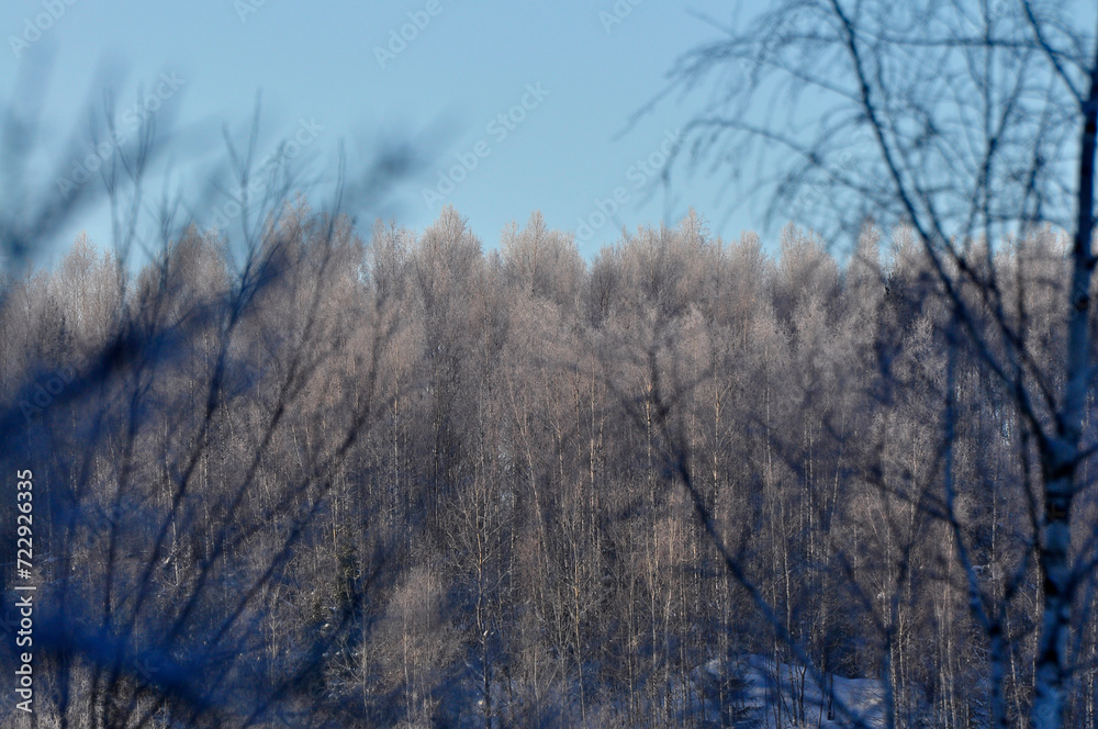 Nature is the material world of the universe, in fact, the main object of the study of natural sciences. In everyday life, the word Nature is the material world of the universe, in fact, the main object of the study of natural sciences. In everyday life, the word