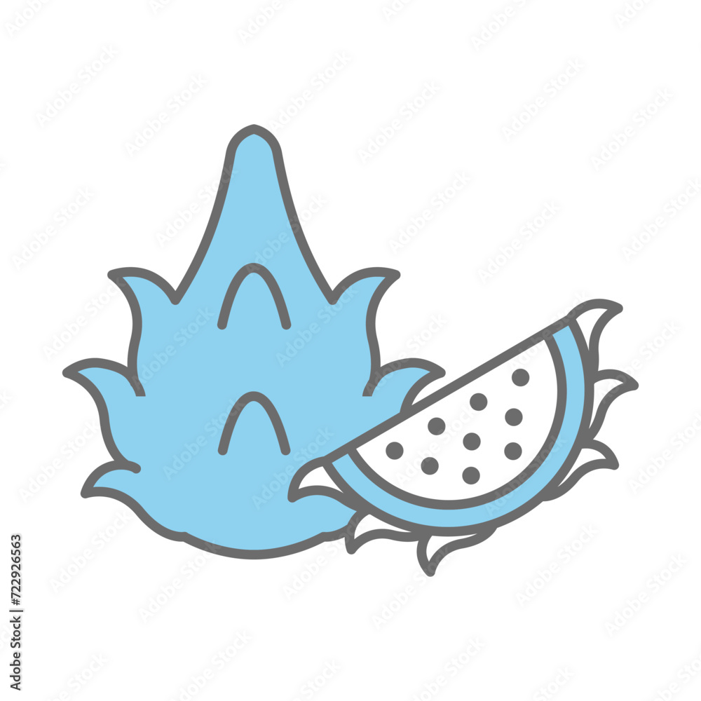 Fototapeta premium Dragon fruit vector on trendy design