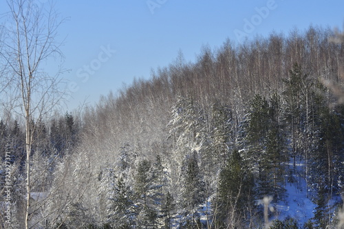 Wallpaper Mural Nature is the material world of the universe, in fact, the main object of the study of natural sciences. In everyday life, the word "nature" is often used in the meaning of natural habitat (everything Torontodigital.ca
