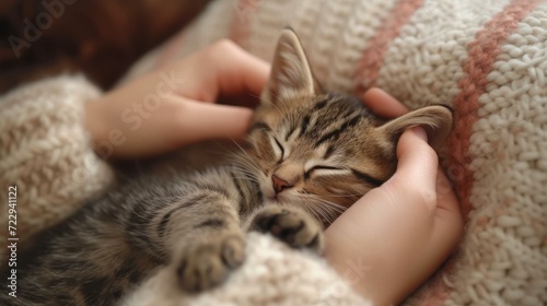 A cute tabby kitten sleeping in the arms of a human photo