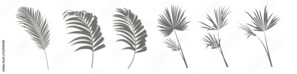 Fototapeta premium Shadow nature tree branches and leaves movement on white