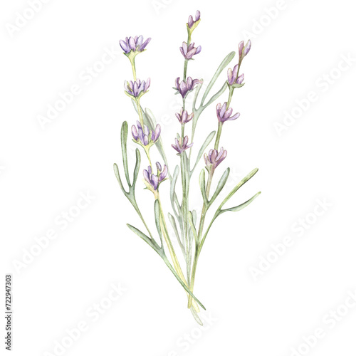 flowers Lavender bouquet