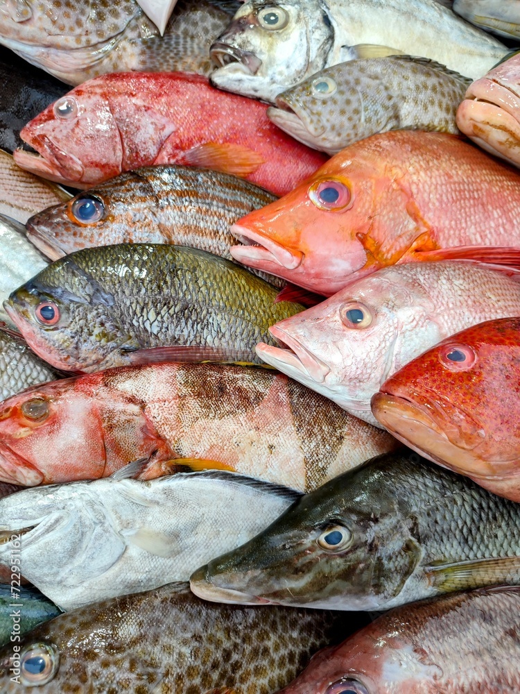 fresh fish at the market