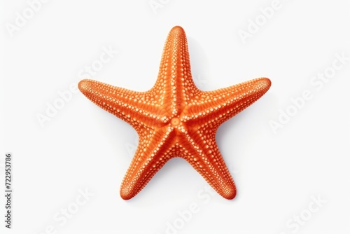 A vibrant orange starfish resting on a clean white surface. Perfect for beach-themed designs and marine life illustrations