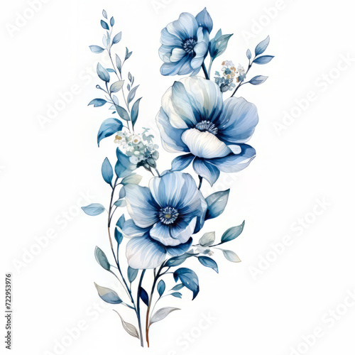 Blue White Flower on White Background