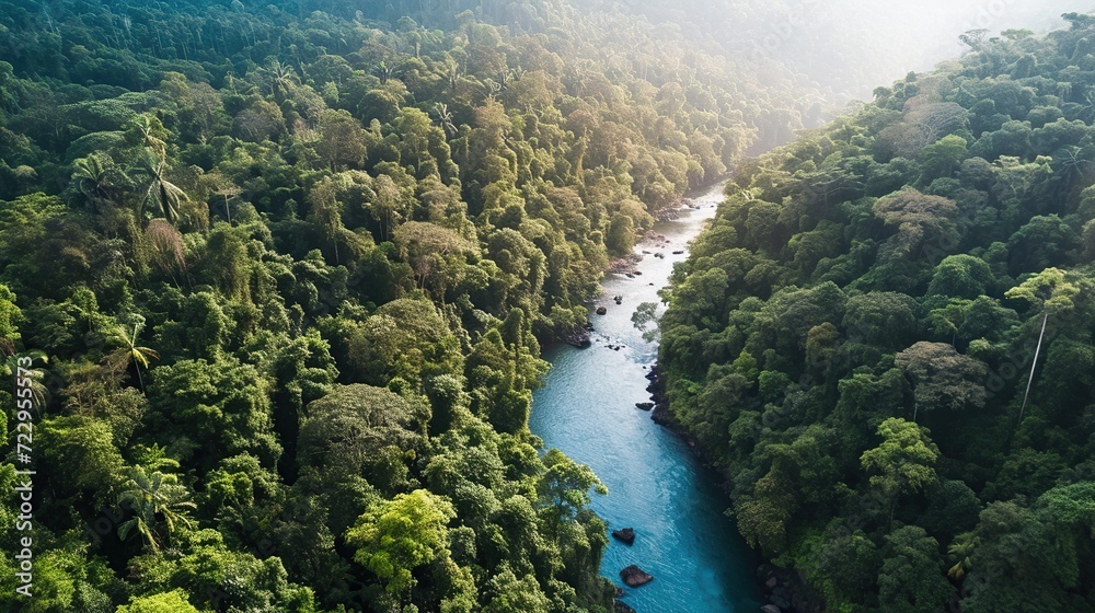 River in rainforest, drone view. Copy space for text. Image of green nature. River in rainforest, drone view. Copy space for text. Image of green nature.
