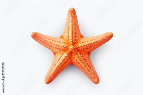 A starfish is displayed on a clean white surface. Versatile for various uses