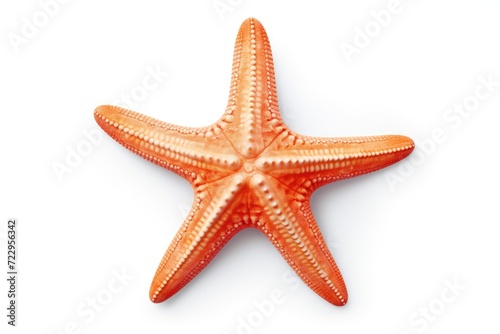 A detailed close-up shot of a starfish resting on a white surface. This image can be used to add a touch of marine life and natural beauty to various projects