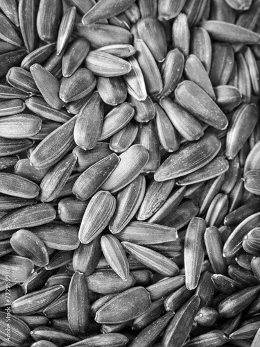 sunflower seeds background