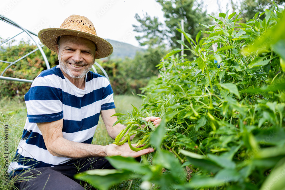 smiling and proud senior retired man with straw hat looking at camera showing vegetables from his garden