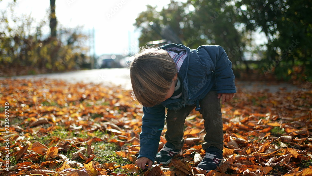 Adorable child exploring nature during autumn day, small boy gathering nuts and putting inside blue jacket, one blond 3 year old kid stands at park sunlight during fall Adorable child exploring nature during autumn day, small boy gathering nuts and putting inside blue jacket, one blond 3 year old kid stands at park sunlight during fall