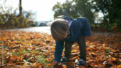 Adorable child exploring nature during autumn day, small boy gathering nuts and putting inside blue jacket, one blond 3 year old kid stands at park sunlight during fall