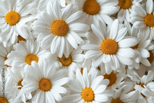 Chamomile flowers. Chamomile background. Close-up.AI created.  