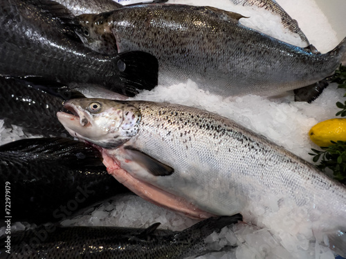 Rainbow Trout, displayed on ice.
